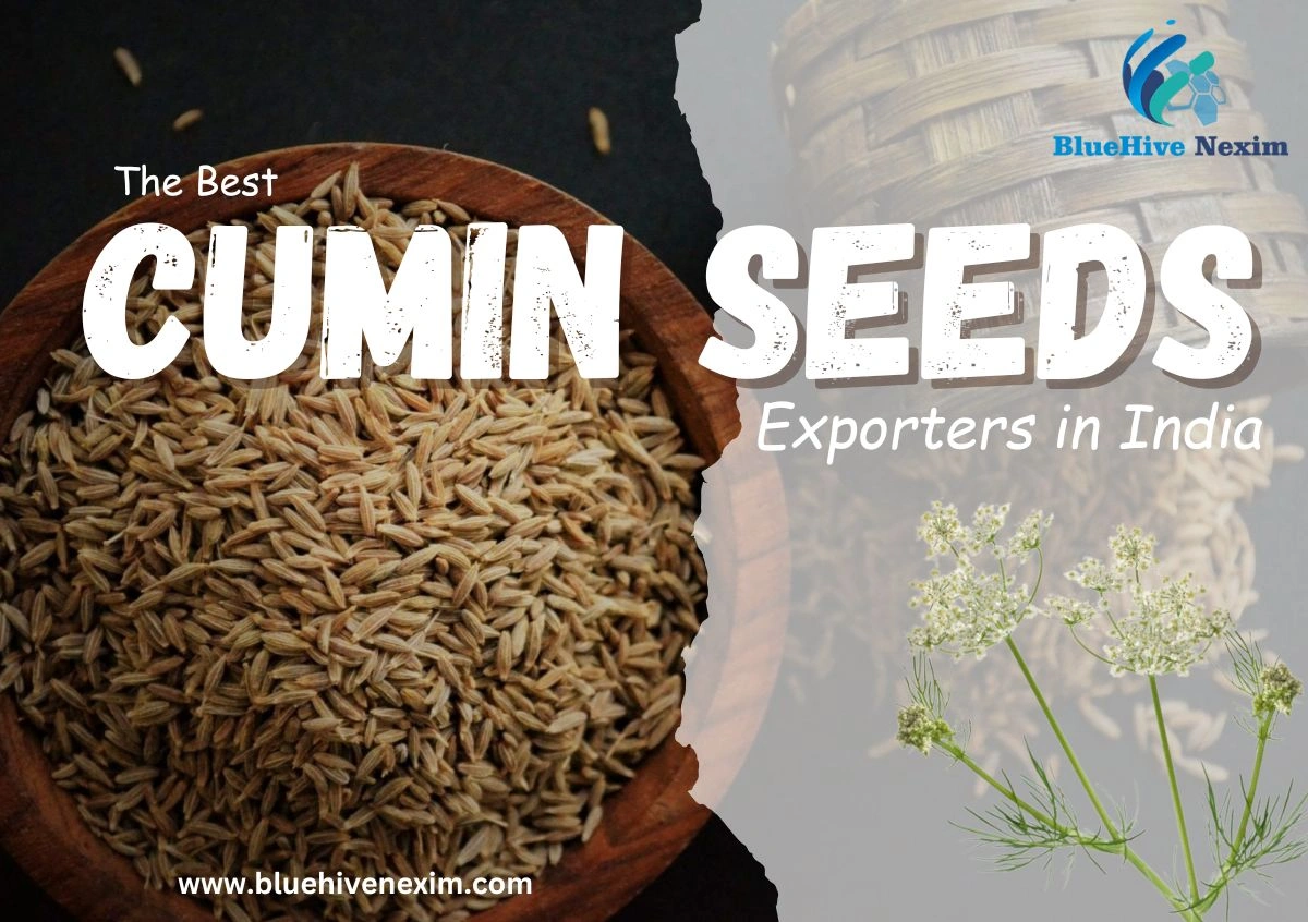 Avoid Common Pitfalls & Choose the Right Cumin Seeds Exporters in India